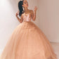 Off Shoulder Princess Ball Gown Elegant Evening Dress Sweet 16 Dress     fg7060