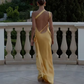 Sexy Backless Stain Dress Women Elegant Sleeveless Maxi Dresses 2025 Evening Dresses    fg6701