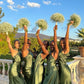 Simple Green Bridesmaids Dresses Long Evening Dress  fg7617