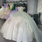 Luxury Quinceanera Dresses Applique Corset Ball Gown Prom Sweet 16 Dress    fg2493