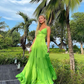 Apple Green Prom Dresses Long Evening Dresses      fg2169